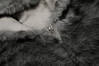 Reversible Fur | Winter Hooded Jacket - Drenn